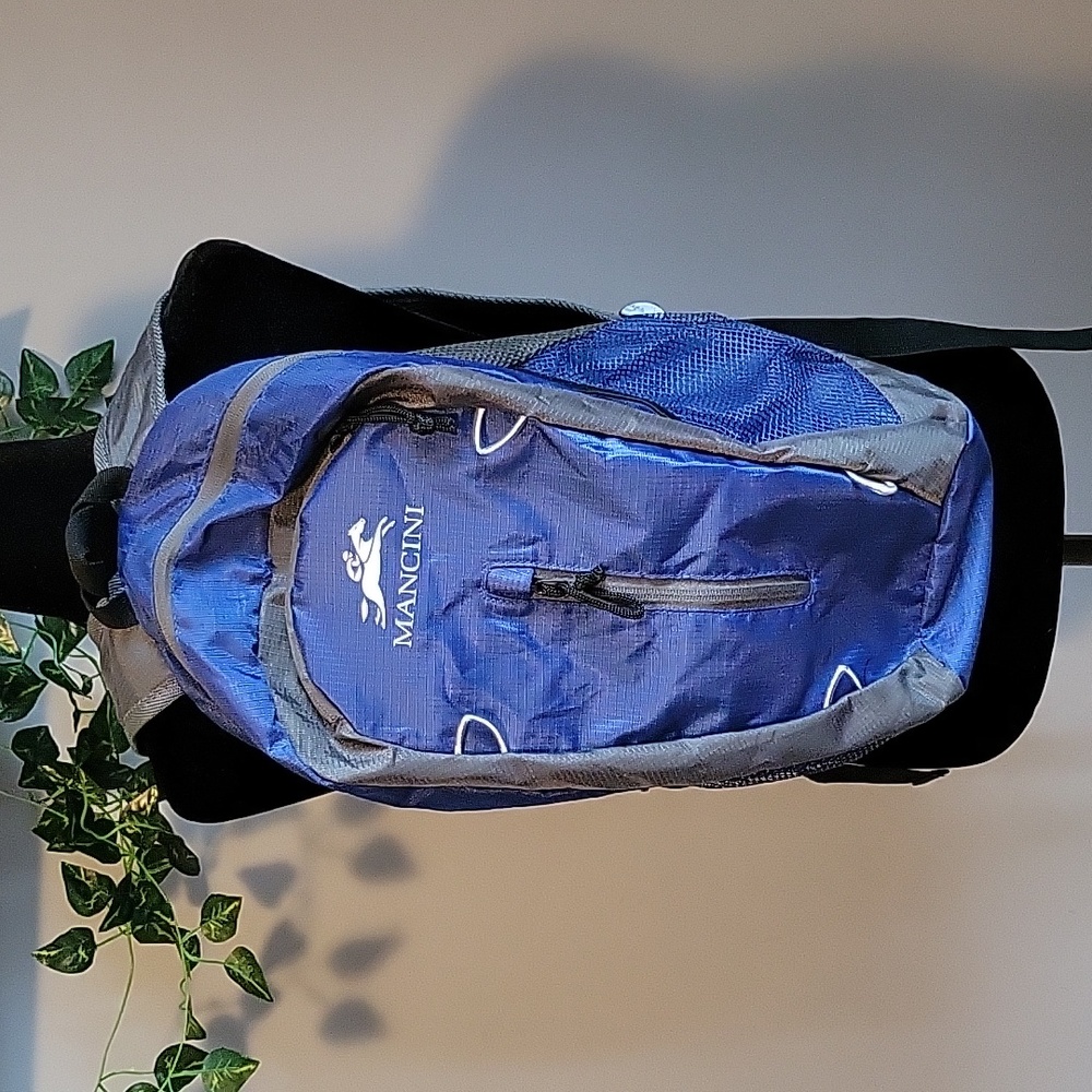 Mancini Packable Daypack